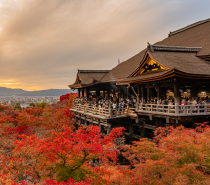 교토 데이 투어 코스