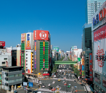 도쿄 자유여행 추천